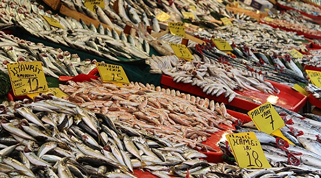 Balıkçılar müjdeyi verdi: Fiyatlar düşecek
