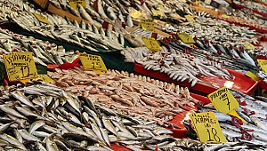 Balıkçılar müjdeyi verdi: Fiyatlar düşecek