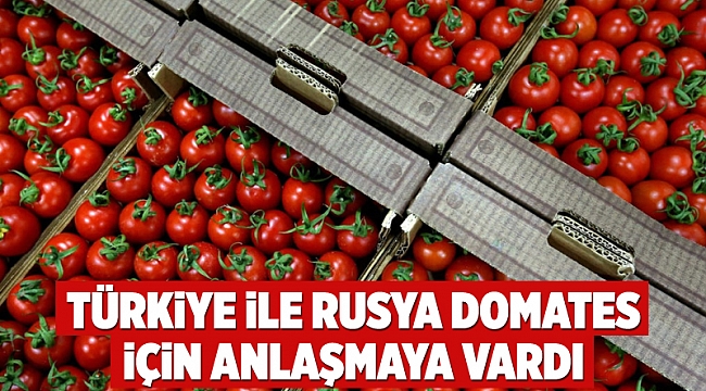 Türkiye ile Rusya domates için anlaşmaya vardı