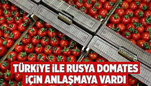 Türkiye ile Rusya domates için anlaşmaya vardı