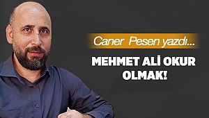 Mehmet Ali Okur olmak!