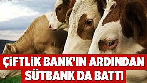 Çiftlik Bank'ın ardından Sütbank da battı