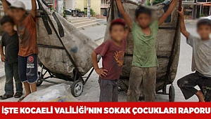 İşte Kocaeli Valiliği'nin sokak çocukları raporu