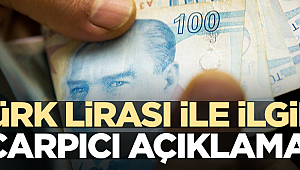 Çarpıcı dolar açıklaması! "Türk lirası karlı çıkacak"