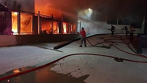 Balçık Köyü’ndeki yangın korkuttu!
