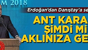 Erdoğan'dan Danıştay'a 'ant' tepkisi! 'Şimdi mi aklınıza geldi?'