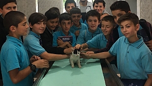 Gebze’de çocuklara hayvan sevgisi aşılandı