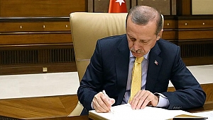 Kocaeli ile ilgili tüm kararı Erdoğan verecek!