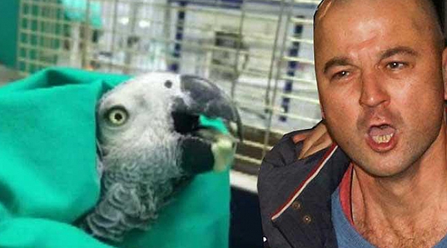 Murat Özdemir'in işkence yaptığı papağan öldü