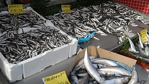 Gebze’de balık satışları durgun!