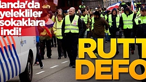 Hollanda'da sarı yelekliler yine sokaklara indi! 'Rutte defol!'