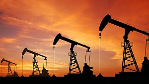 Türkkan: “Türkiye'de kaç petrol kuyusu var?” 