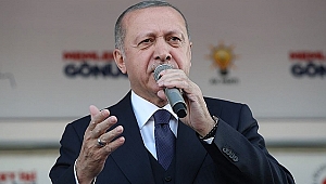 Erdoğan,