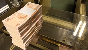 Hazine 3,2 milyar lira borçlandı
