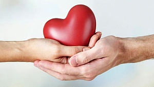 Kocaeli organ bağışında Türkiye birincisi