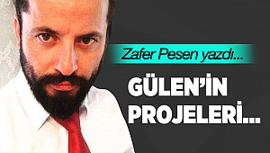 Arif Gülen'in projeleri