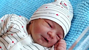 Kocaeli'de en çok hangi ayda bebek doğuyor? 