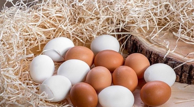 TÜİK açıkladı! Yumurta üretimi azaldı