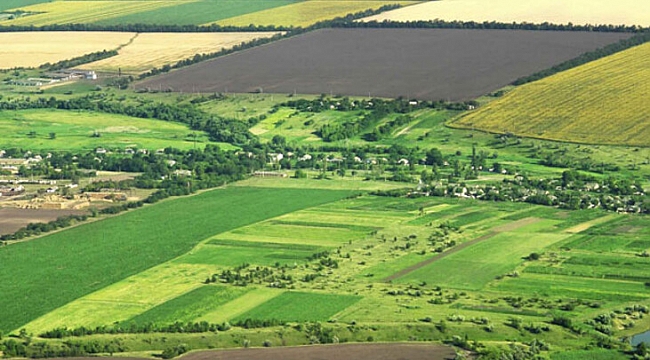 Kocaeli'de dev tarım arazisi icralık oldu!