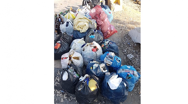 Darıca Sahil'de 30 poşet çöp topladı