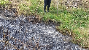 Tarlasındaki çalıları tutuştururken koca ormanı yaktı!