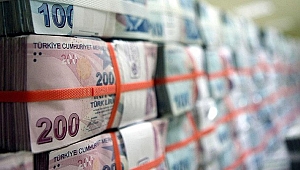 Türkiye’nin vergi rekortmenleri açıklandı