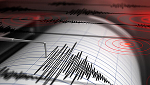 Gebze ve Dilovası’nda 1 yılda kaç tane deprem oldu?