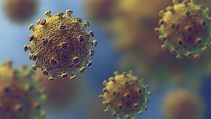 Kocaeli İl Sağlık Müdürlüğü'nden 'coronavirüs' açıklaması