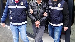 Gebze'de kaçak göçmen operasyonunda 3 gözaltı