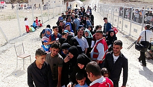 Kocaeli’deki 262 Suriyeli nereye gitti?