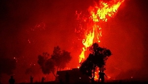 Gebze'de iş yeri yangını