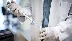 Umutlandıran haber geldi: Bugün ilk koronavirüs aşısı test edilecek