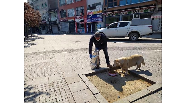 Gebze'de sokağa çıkma yasağında belediye ekipleri hayvanları besledi