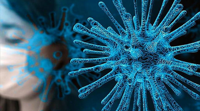 Koronavirüse karşı doksan gün etkili dezenfektan
