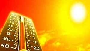  Kocaeli'de en yüksek sıcaklık nerede görüldü?