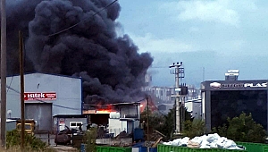 Gebze’de fabrika yangını!