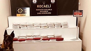 Kocaeli'de tırın zulasından 62 kg esrar çıktı