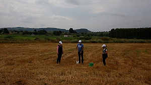 Sürdürülebilir tarım için toprak analizi