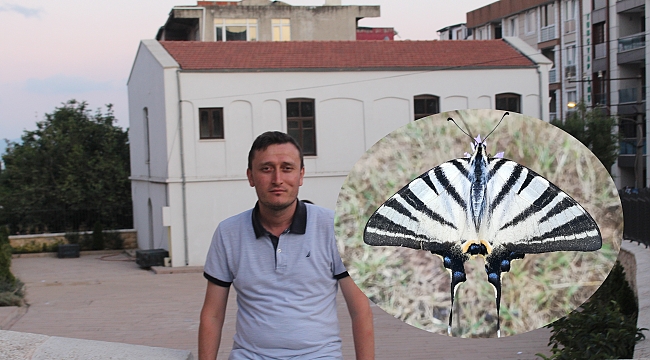 Nadir Görünen Kelebek Gebze'de Görüntüledi