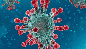 Koronavirüs 28 gün yüzeylerde kalabiliyor