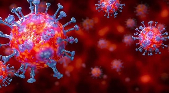 Koronavirüsün bir belirtisi daha tespit edildi