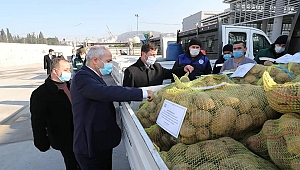 Gebze Belediyesi 1250 aileye patates dağıtıyor