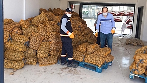 Gebze’de 150 Ton patates dağıtılacak!