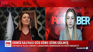 Hürriyet, Marmara Denizi için FOX TV’den seslendi: Önergelerimizi neden dinlemediniz?