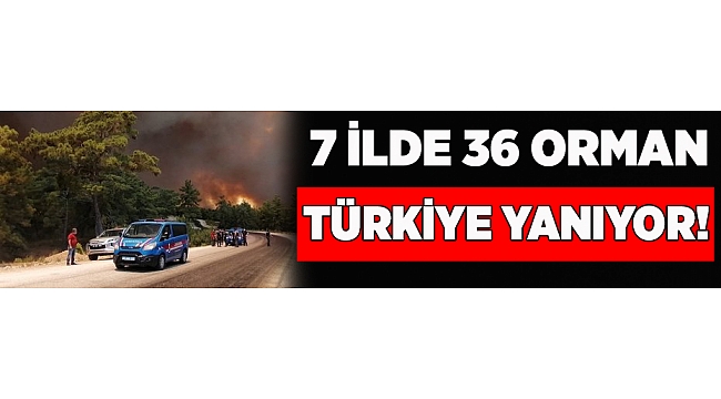 Türkiye'nin ciğerleri yanıyor!