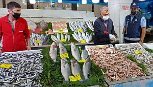 Gebze’de Balıkçı Denetimleri