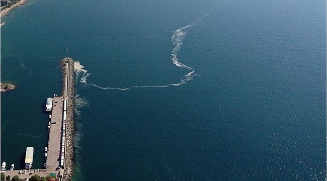 Marmara Denizi'nde yeni tehlike