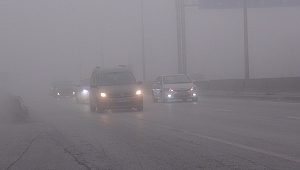 Kocaeli'de yoğun sis etkili oldu