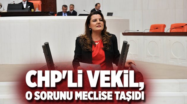CHP'li Vekil, o sorunu meclise taşıdı