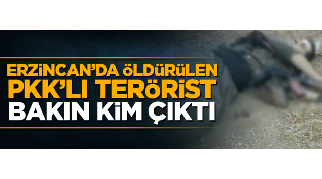 Erzincan'da öldürülen PKK''lı gri listedeki terörist çıktı